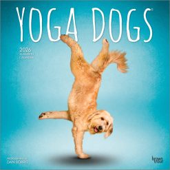 Yoga Dogs 2026 Square