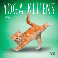 Yoga Kittens 2026 Mini