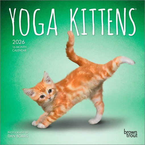 Yoga Kittens 2026 Mini