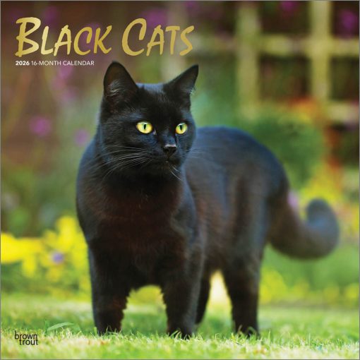 Black Cats 2026 Square Foil