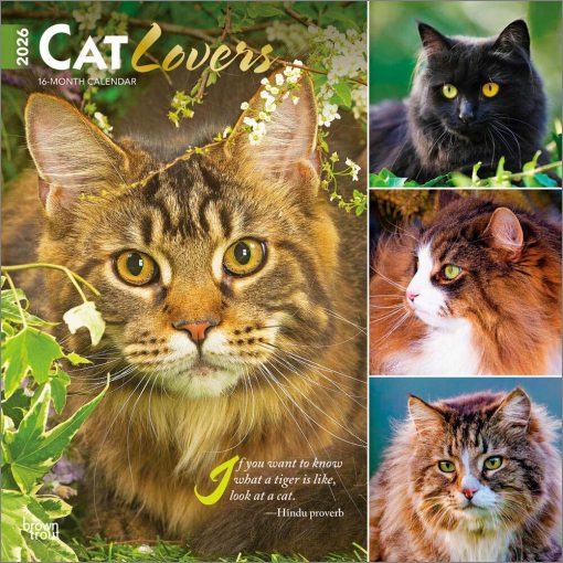 Cat Lovers 2026 Square Foil