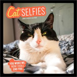 Cat Selfies 2026 Square