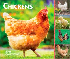 Chickens 2026 Boxed