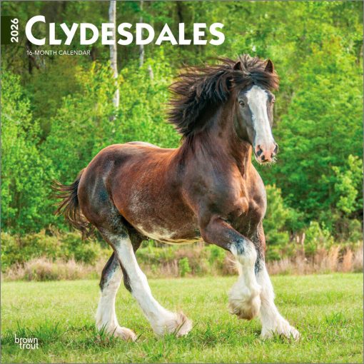 Clydesdales 2026 Square