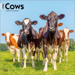 Cows 2026 Square