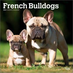 French Bulldogs 2026 Square