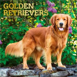Golden Retrievers 2026 Square Foil