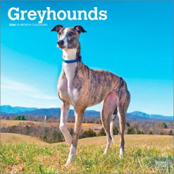 Greyhounds 2026 Square