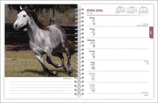 Horse Lovers | 2026 6 x 7.75 Inch Spiral-Bound Wire-O Weekly Diary Planner Calendar | New Full-Color Image Every Week | BrownTrout | Animals Equestrian