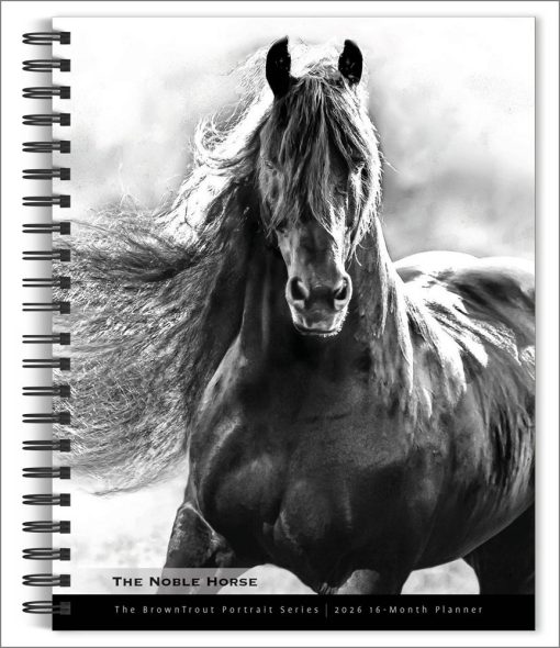 The Noble Horse, The Browntrout Portrait Series 2026 Engagement