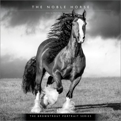 The BrownTrout Portrait Series: The Noble Horse | 2026 12 x 24 Inch (Hanging) Monthly Square Wall Calendar | Plastic-Free | Pets Equestrian