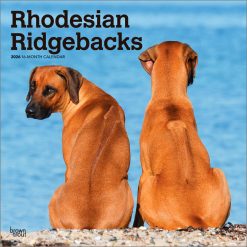 Rhodesian Ridgebacks 2026 Square