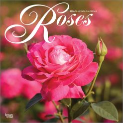 Roses 2026 Square