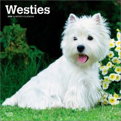 West Highland White Terriers 2026 Square