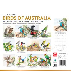 Alternative view of Illustrated Birds of Australia | 2026 12 x 24 Inch (Hanging) Monthly Square Wall Calendar | Foil Stamped Cover | Plastic-Free | BrownTrout | Animals Ornithology Wildlife