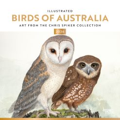 Illustrated Birds of Australia | 2026 12 x 24 Inch (Hanging) Monthly Square Wall Calendar | Foil Stamped Cover | Plastic-Free | BrownTrout | Animals Ornithology Wildlife