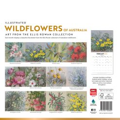 Alternative view of Illustrated Wildflowers of Australia | 2026 12 x 24 Inch (Hanging) Monthly Square Wall Calendar | Foil Stamped Cover | Plastic-Free | BrownTrout | Nature Floral
