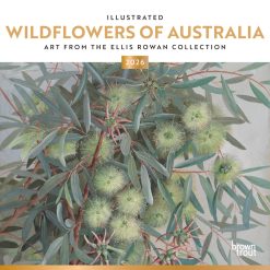 Illustrated Wildflowers of Australia | 2026 12 x 24 Inch (Hanging) Monthly Square Wall Calendar | Foil Stamped Cover | Plastic-Free | BrownTrout | Nature Floral