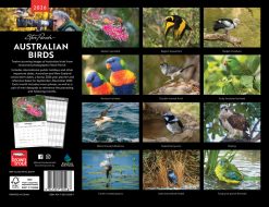 Alternative view of Australian Birds | Steve Parish | 2026 19 x 12 Inch (Hanging) Monthly Landscape Wall Calendar | BrownTrout | Animals Ornithology Wildlife