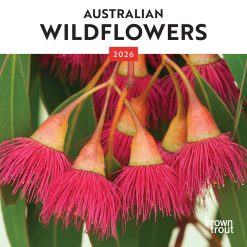 Australian Wildflowers | 2026 7 x 14 Inch (Hanging) Monthly Mini Wall Calendar | BrownTrout | Nature Floral