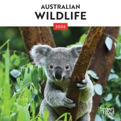 Australian Wildlife | 2026 7 x 14 Inch (Hanging) Monthly Mini Wall Calendar | BrownTrout | Travel Scenic Oceania Photography