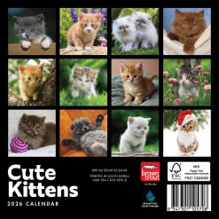 Alternative view of Cute Kittens | 2026 7 x 14 Inch (Hanging) Monthly Mini Wall Calendar | BrownTrout | Cats Pets Feline
