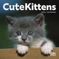 Cute Kittens | 2026 7 x 14 Inch (Hanging) Monthly Mini Wall Calendar | BrownTrout | Cats Pets Feline