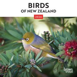 New Zealand Birds | 2026 7 x 14 Inch (Hanging) Monthly Mini Wall Calendar | BrownTrout | Animals Ornithology Wildlife
