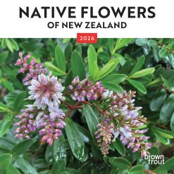 New Zealand Native Flowers | 2026 7 x 14 Inch (Hanging) Monthly Mini Wall Calendar | BrownTrout | Nature Floral