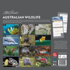 Alternative view of Australian Wildlife Family Organiser | Steve Parish | 2026 12 x 24 Inch (Hanging) Monthly Square Wall Calendar | Plastic-Free | BrownTrout | Travel Scenic Animals Photography