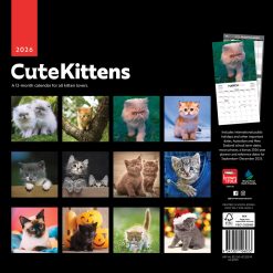 Alternative view of Cute Kittens | 2026 12 x 24 Inch (Hanging) Monthly Square Wall Calendar | Plastic-Free | BrownTrout | Cats Pets Feline