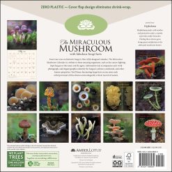 Alternative view of Miraculous Mushroom 2026 Wall Calendar