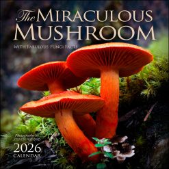 Miraculous Mushroom 2026 Wall Calendar