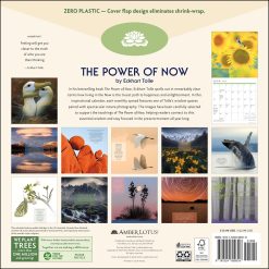 Alternative view of Power of Now 2026 Wall Calendar