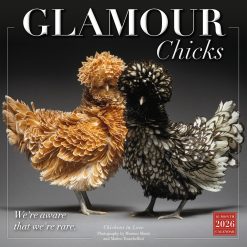 Glamour Chicks 2026 Square Wall Calendar