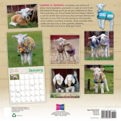 Alternative view of Lambies In Jammies & Goats In Coats 2026 Square Wall Calendar