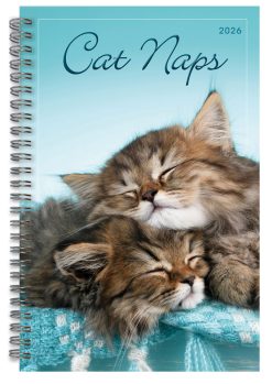 Cat Naps 2026 Diary
