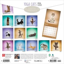 Alternative view of Yoga Cats OFFICIAL | 2026 12 x 24 Inch (Hanging) Monthly Square Wall Calendar | Plastic-Free | BrownTrout | Animals Humor Pets