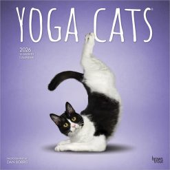 Yoga Cats OFFICIAL | 2026 12 x 24 Inch (Hanging) Monthly Square Wall Calendar | Plastic-Free | BrownTrout | Animals Humor Pets
