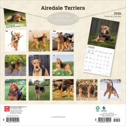 Alternative view of Airedale Terriers | 2026 12 x 24 Inch (Hanging) Monthly Square Wall Calendar | Plastic-Free | BrownTrout | Animal Dog Breeds