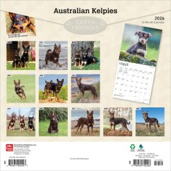 Alternative view of Australian Kelpies | 2026 12 x 24 Inch (Hanging) Monthly Square Wall Calendar | Plastic-Free | BrownTrout | Animal Dog Breeds