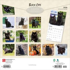 Alternative view of Black Cats | 2026 12 x 24 Inch (Hanging) Monthly Square Wall Calendar | Foil Stamped Cover | Plastic-Free | BrownTrout | Animals Kittens Feline