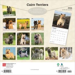 Alternative view of Cairn Terriers | 2026 12 x 24 Inch (Hanging) Monthly Square Wall Calendar | Plastic-Free | BrownTrout | Animals Dog Breeds