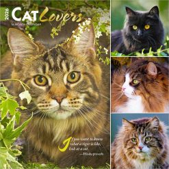 Cat Lovers | 2026 12 x 24 Inch (Hanging) Monthly Square Wall Calendar | Foil Stamped Cover | Plastic-Free | BrownTrout | Animals Domestic Kittens Feline