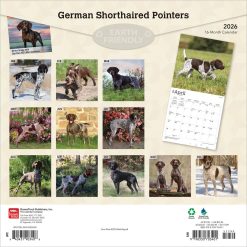 Alternative view of German Shorthaired Pointers | 2026 12 x 24 Inch (Hanging) Monthly Square Wall Calendar | Plastic-Free | BrownTrout | Animals Dog Breeds