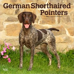 German Shorthaired Pointers | 2026 12 x 24 Inch (Hanging) Monthly Square Wall Calendar | Plastic-Free | BrownTrout | Animals Dog Breeds