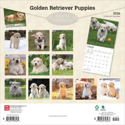 Alternative view of Golden Retriever Puppies | 2026 12 x 24 Inch (Hanging) Monthly Square Wall Calendar | Plastic-Free | BrownTrout | Animals Dog Breeds Puppy