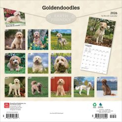 Alternative view of Goldendoodles | 2026 12 x 24 Inch (Hanging) Monthly Square Wall Calendar | Plastic-Free | BrownTrout | Animals Mixed Dog Breeds