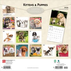 Alternative view of Kittens & Puppies | 2026 12 x 24 Inch (Hanging) Monthly Square Wall Calendar | Foil Stamped Cover | Plastic-Free | BrownTrout | Animals Cute Cats Dogs