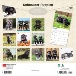 Alternative view of Schnauzer Puppies | 2026 12 x 24 Inch (Hanging) Monthly Square Wall Calendar | Plastic-Free | BrownTrout | Animals Dog Breeds Puppy